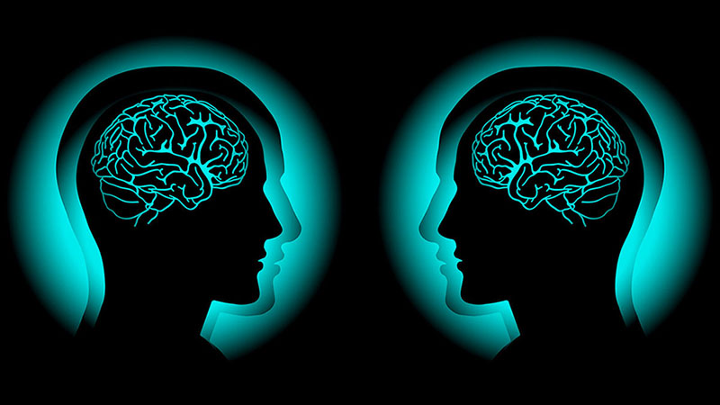 Cao thủ hiểu người