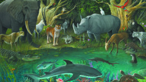 Những điều kỳ thú của động thực vật