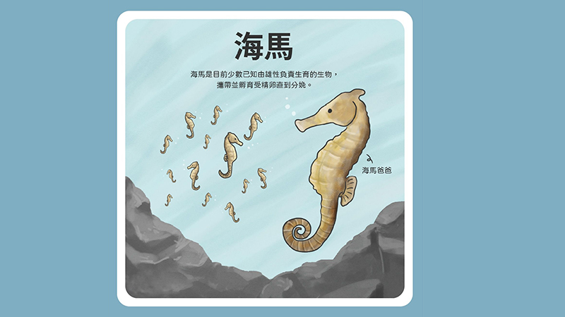 Vì sao cá ngựa đực có thể mang thai sinh con