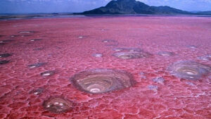 Hồ Natron – Hồ âm phủ vạn năm trên Trái Đất